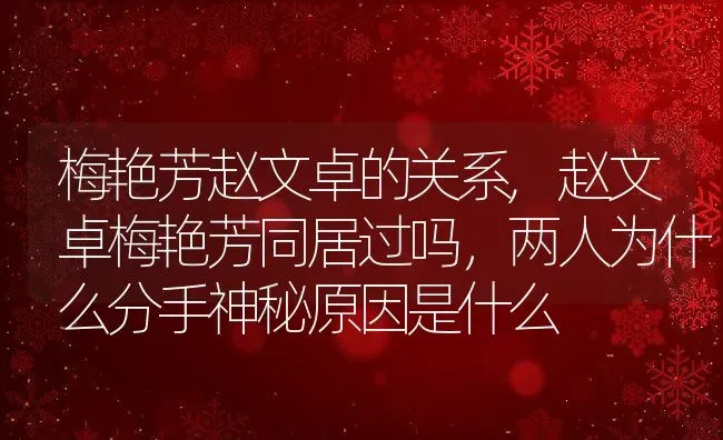 梅艳芳赵文卓的关系,赵文卓梅艳芳同居过吗，两人为什么分手神秘原因是什么 | 养殖常见问题