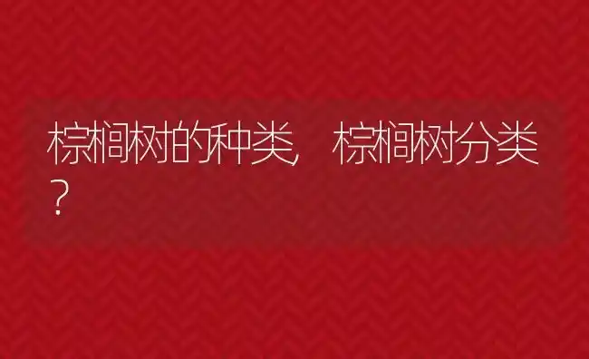 棕榈树的种类,棕榈树分类？ | 养殖常见问题