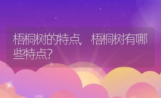 梧桐树的特点,梧桐树有哪些特点？ | 养殖常见问题