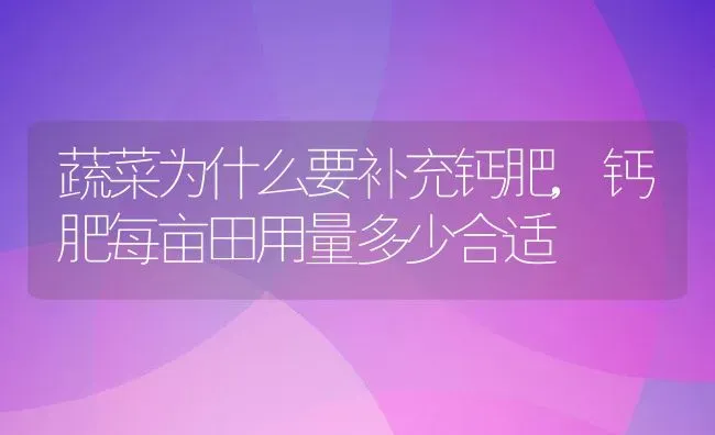 蔬菜为什么要补充钙肥,钙肥每亩田用量多少合适 | 养殖常见问题