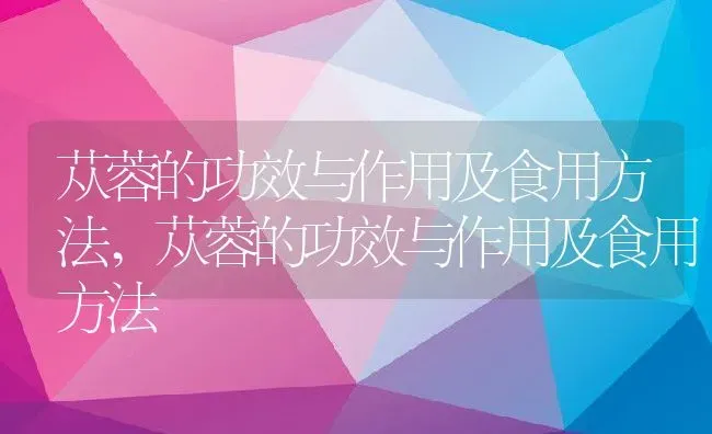 苁蓉的功效与作用及食用方法,苁蓉的功效与作用及食用方法 | 养殖常见问题