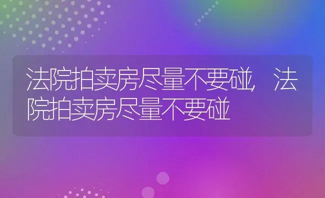 法院拍卖房尽量不要碰,法院拍卖房尽量不要碰 | 养殖常见问题