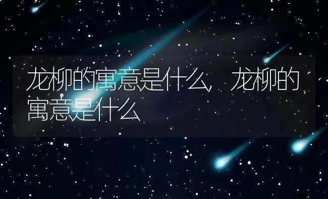 龙柳的寓意是什么,龙柳的寓意是什么 | 养殖常见问题