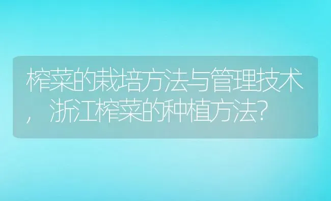 榨菜的栽培方法与管理技术,浙江榨菜的种植方法？ | 养殖常见问题