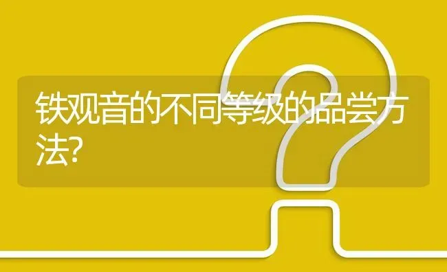 铁观音的不同等级的品尝方法? | 养殖问题解答