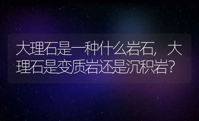 大理石是一种什么岩石,大理石是变质岩还是沉积岩？ | 养殖常见问题