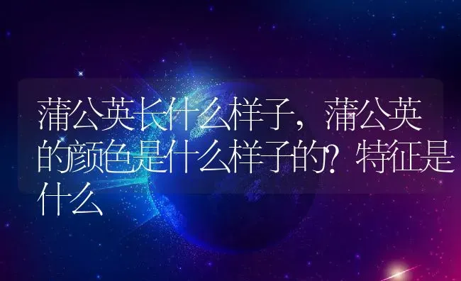 蒲公英长什么样子,蒲公英的颜色是什么样子的？特征是什么 | 养殖常见问题