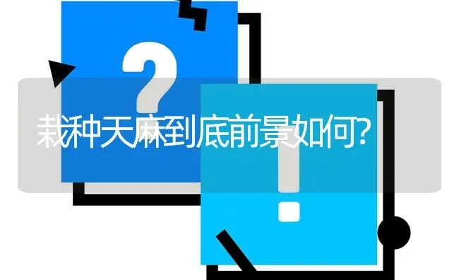 栽种天麻到底前景如何? | 养殖问题解答