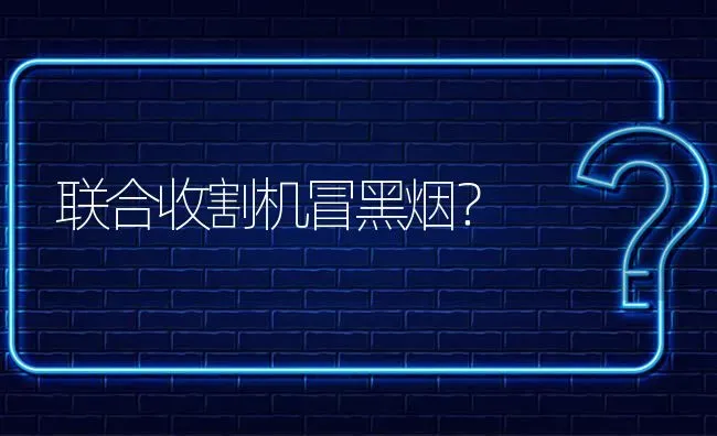 联合收割机冒黑烟? | 养殖问题解答