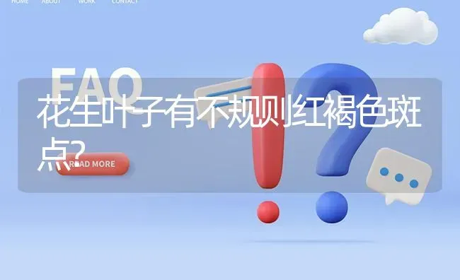 花生叶子有不规则红褐色斑点? | 养殖问题解答