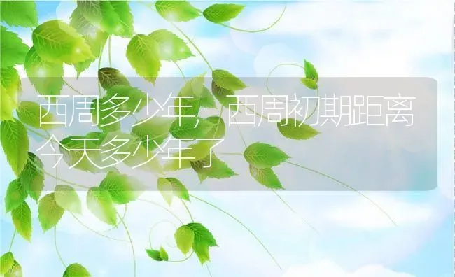 西周多少年,西周初期距离今天多少年了 | 养殖常见问题