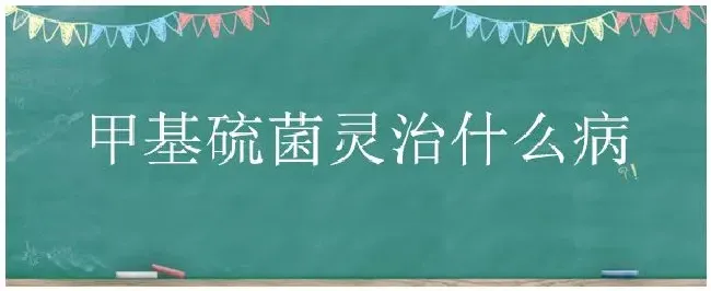 甲基硫菌灵治什么病 | 农业常识