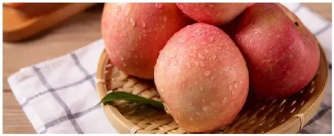 红肉苹果几年可以挂果 | 农业常识