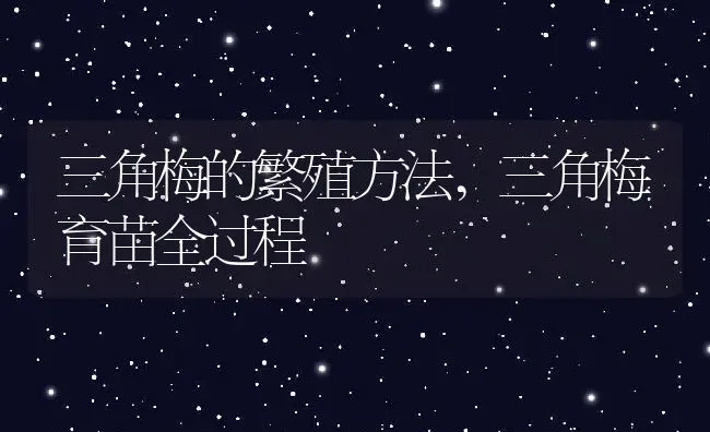 三角梅的繁殖方法,三角梅育苗全过程 | 养殖常见问题