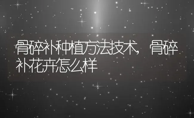 骨碎补种植方法技术,骨碎补花卉怎么样 | 养殖常见问题