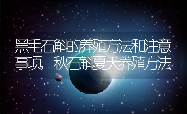 黑毛石斛的养殖方法和注意事项,秋石斛夏天养殖方法 | 养殖常见问题