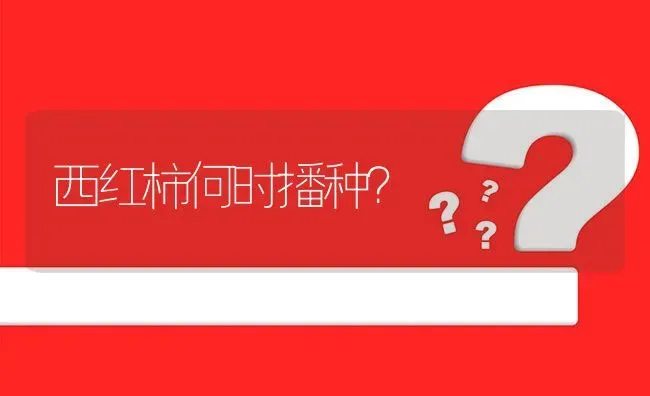 西红柿何时播种? | 养殖问题解答