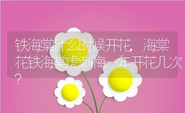 铁海棠什么时候开花,海棠花铁海棠虎刺梅一年开花几次？ | 养殖常见问题