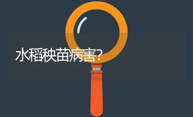 水稻秧苗病害? | 养殖问题解答