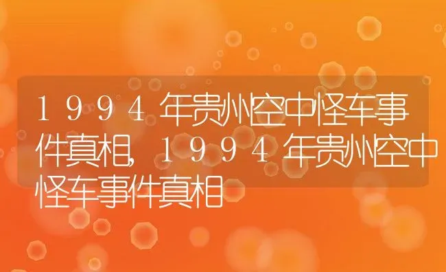 1994年贵州空中怪车事件真相,1994年贵州空中怪车事件真相 | 养殖常见问题