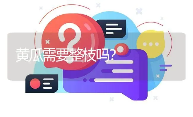 黄瓜需要整枝吗? | 养殖问题解答