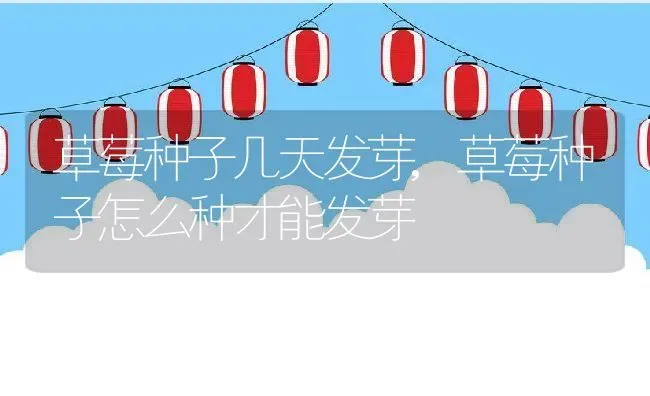 草莓种子几天发芽,草莓种子怎么种才能发芽 | 养殖常见问题