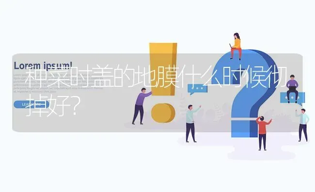 种菜时盖的地膜什么时候彻掉好? | 养殖问题解答