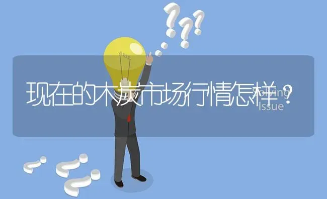 现在的木炭市场行情怎样? | 养殖问题解答