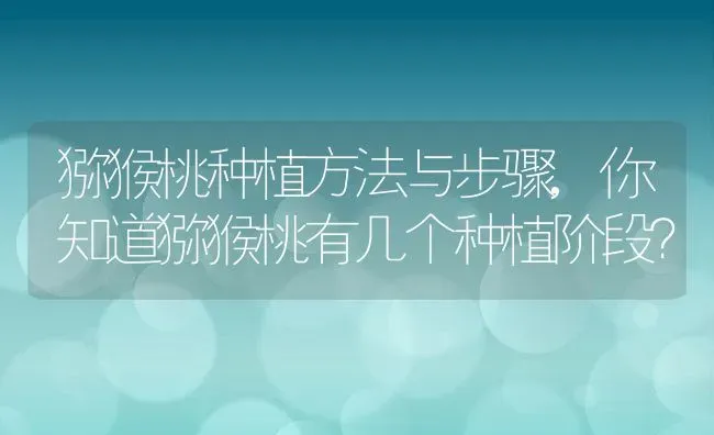 猕猴桃种植方法与步骤,你知道猕猴桃有几个种植阶段？ | 养殖常见问题