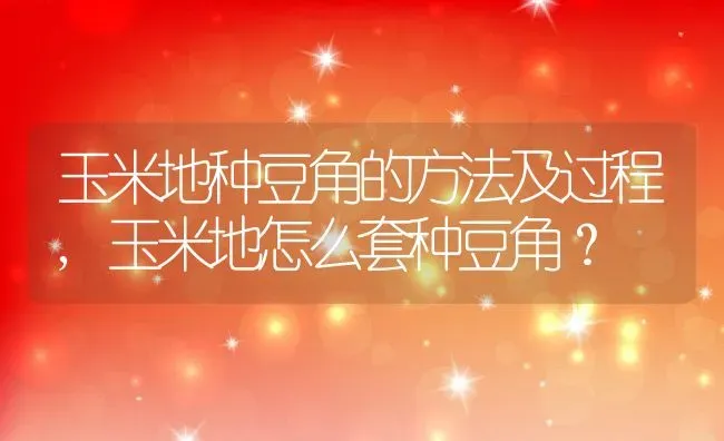 玉米地种豆角的方法及过程,玉米地怎么套种豆角？ | 养殖常见问题