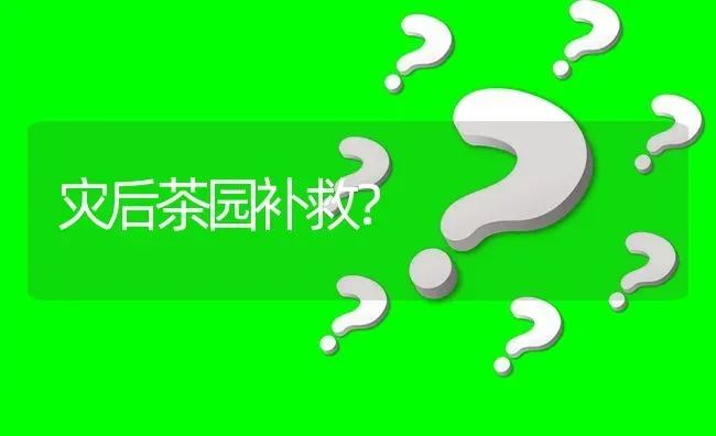 灾后茶园补救? | 养殖问题解答