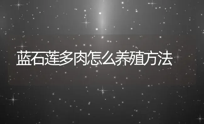 蓝石莲多肉怎么养殖方法 | 养殖常见问题