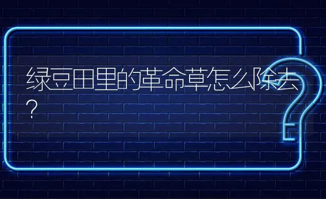 绿豆田里的革命草怎么除去? | 养殖问题解答