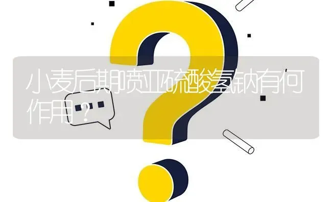 小麦后期喷亚硫酸氢钠有何作用? | 养殖问题解答