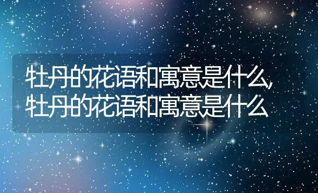 牡丹的花语和寓意是什么,牡丹的花语和寓意是什么 | 养殖常见问题