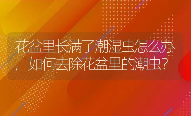 花盆里长满了潮湿虫怎么办,如何去除花盆里的潮虫？ | 养殖常见问题