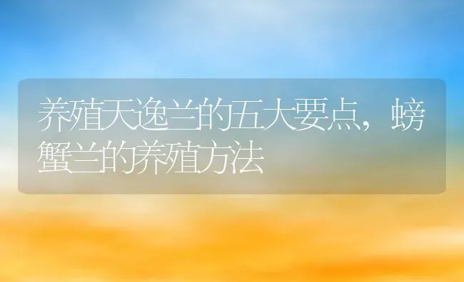 养殖天逸兰的五大要点,螃蟹兰的养殖方法 | 养殖常见问题