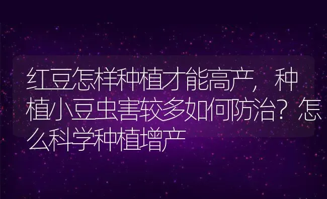 红豆怎样种植才能高产,种植小豆虫害较多如何防治？怎么科学种植增产 | 养殖常见问题