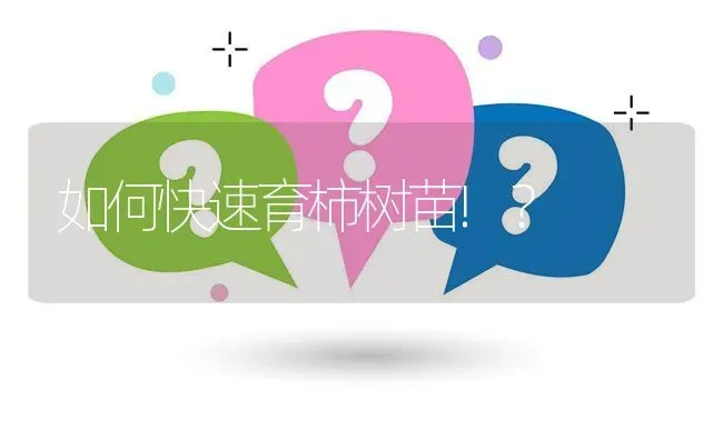 如何快速育柿树苗!? | 养殖问题解答