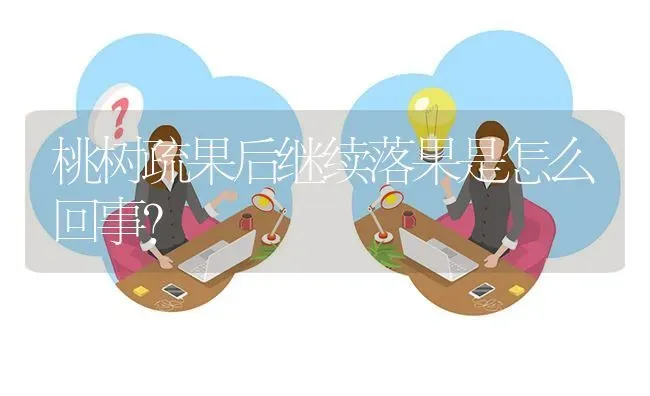 桃树疏果后继续落果是怎么回事? | 养殖问题解答