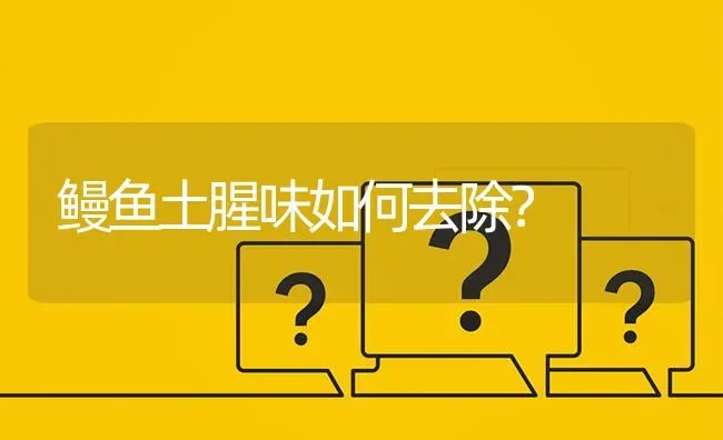 鳗鱼土腥味如何去除? | 养殖问题解答