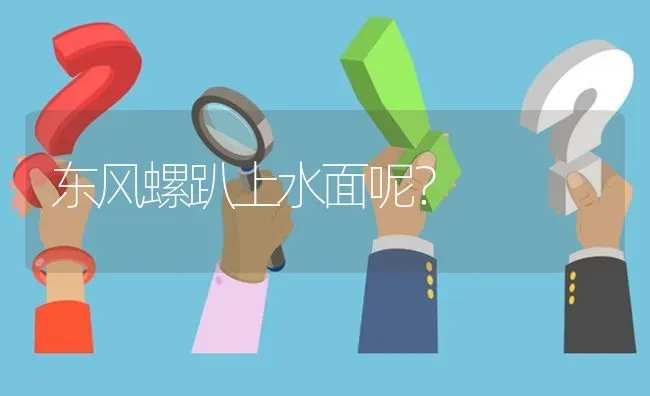 东风螺趴上水面呢? | 养殖问题解答