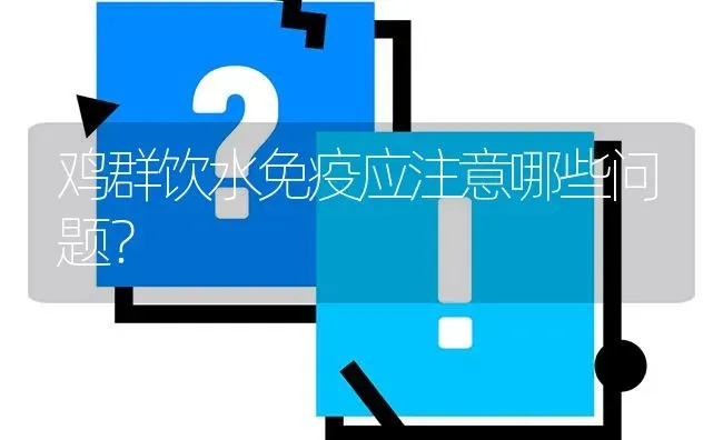 鸡群饮水免疫应注意哪些问题? | 养殖问题解答