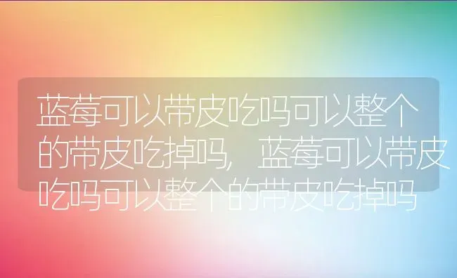 蓝莓可以带皮吃吗可以整个的带皮吃掉吗,蓝莓可以带皮吃吗可以整个的带皮吃掉吗 | 养殖常见问题