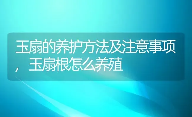 玉扇的养护方法及注意事项,玉扇根怎么养殖 | 养殖常见问题
