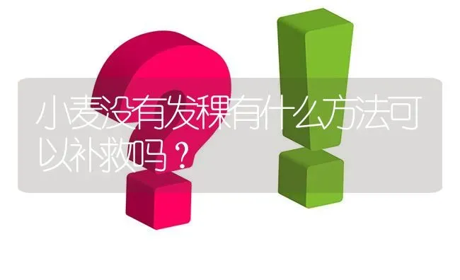 小麦没有发稞有什么方法可以补救吗? | 养殖问题解答
