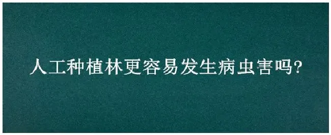 人工种植林更容易发生病虫害吗? | 农业答疑