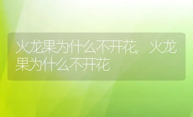 地榆是什么植物,地芋是什么植物？ | 养殖常见问题