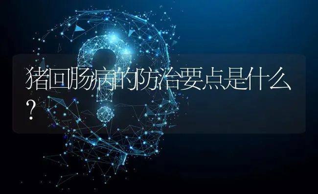 猪回肠病的防治要点是什么? | 养殖问题解答