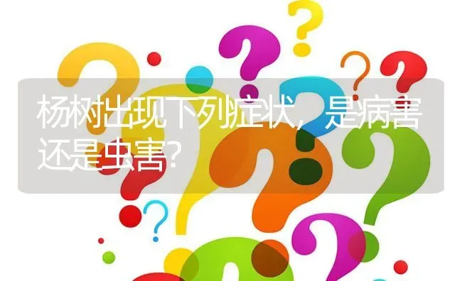 杨树出现下列症状,是病害还是虫害? | 养殖问题解答